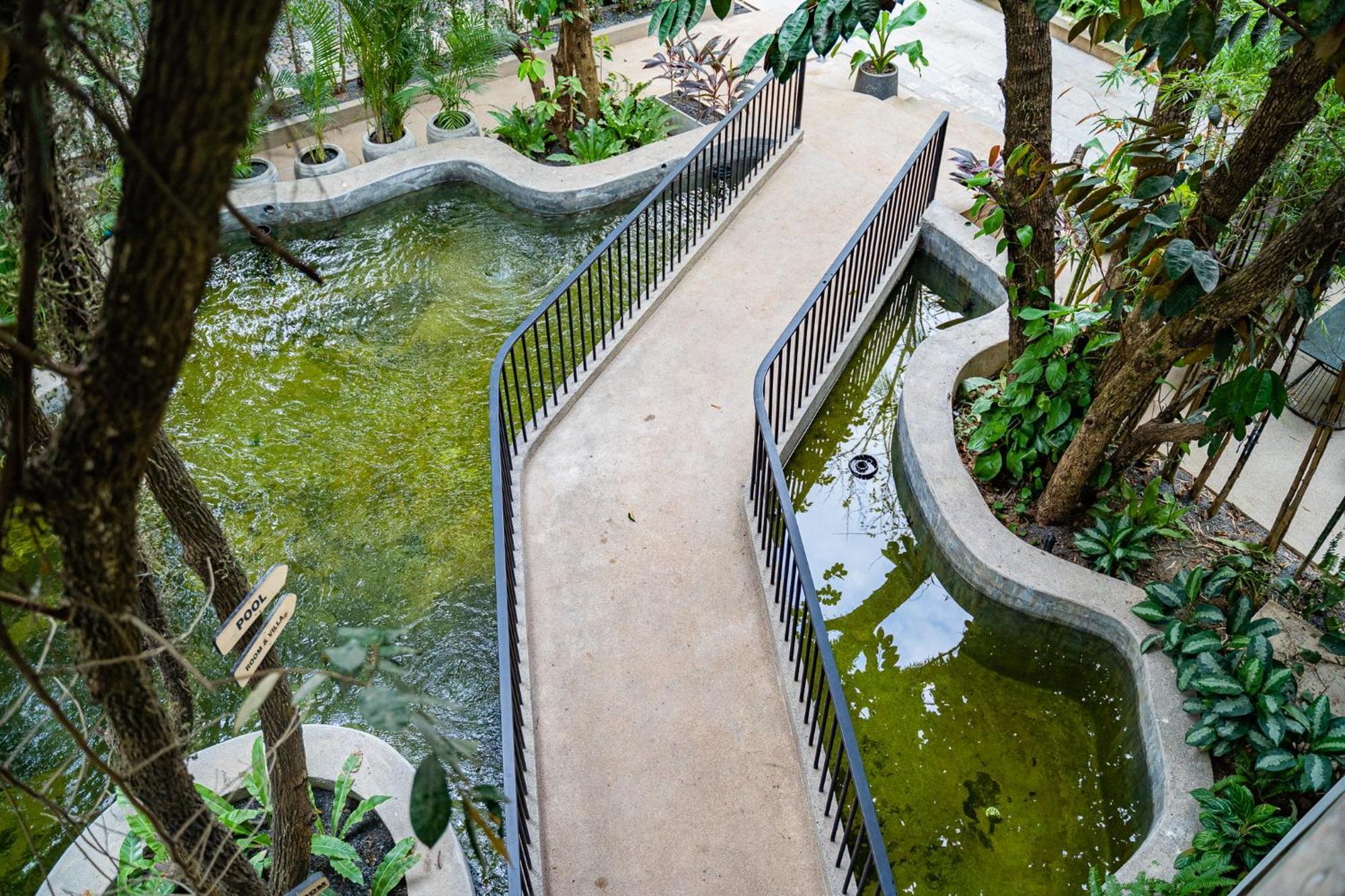 Rainforest Hotel By Nsun Kampot Luaran gambar